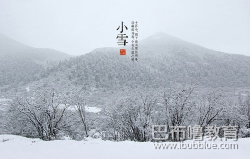 小雪鵝毛片片飛