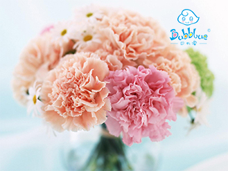 母愛(ài)無(wú)價(jià)——巴布嚕教育祝福所有母親節(jié)日快樂(lè)！