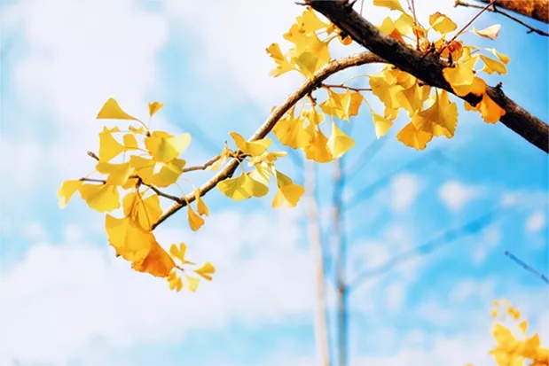 【易道教育】11月例會(huì)，整裝待發(fā),，以歸零心態(tài)迎接年會(huì)到來